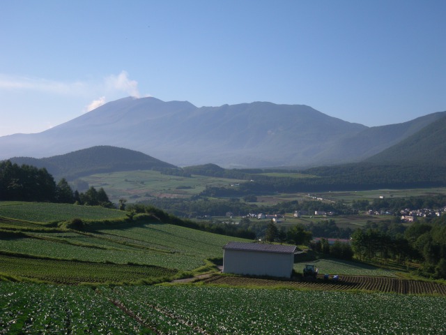画像1