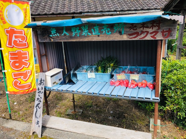画像2