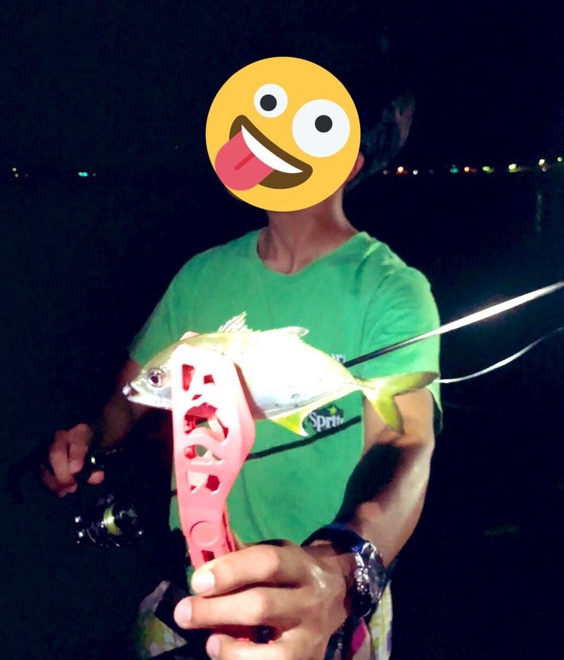 画像4