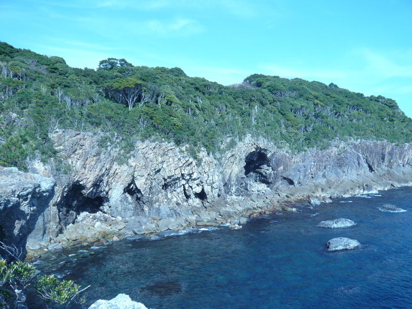 画像2