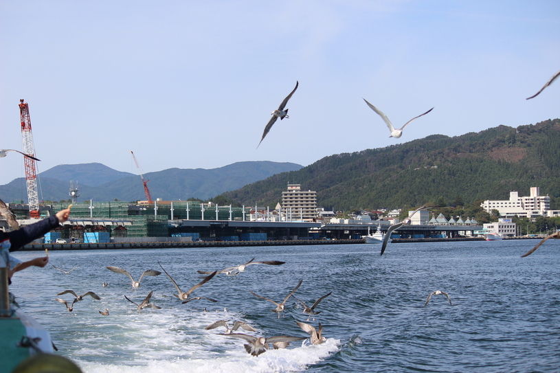 画像1