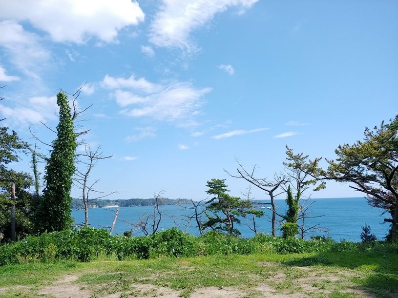 画像2