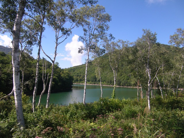 画像5