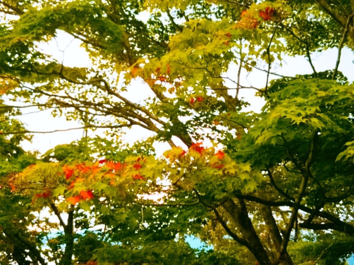 画像2