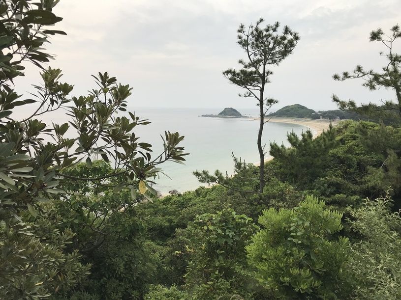 画像2