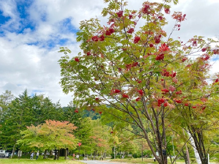 画像2