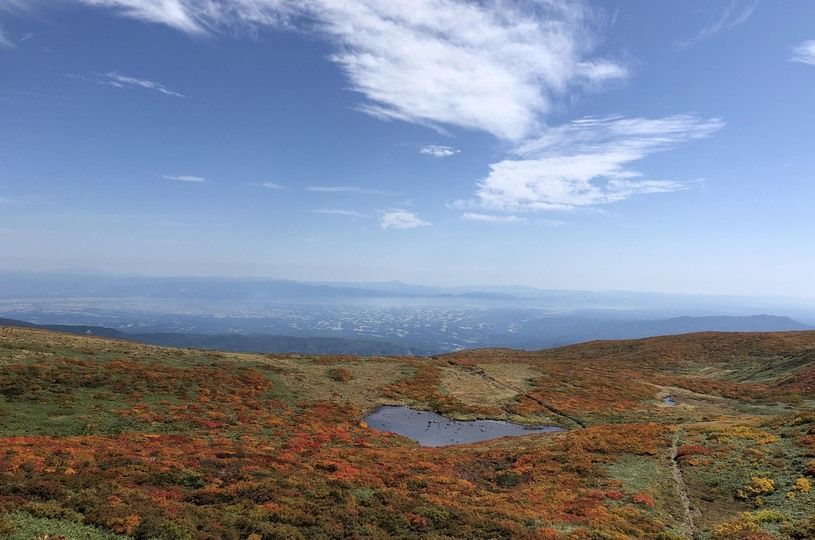 画像1