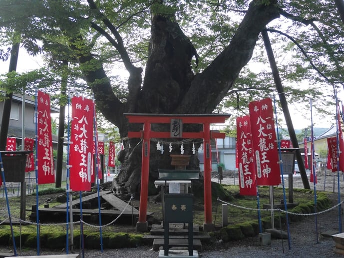 画像3