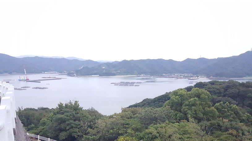 画像5