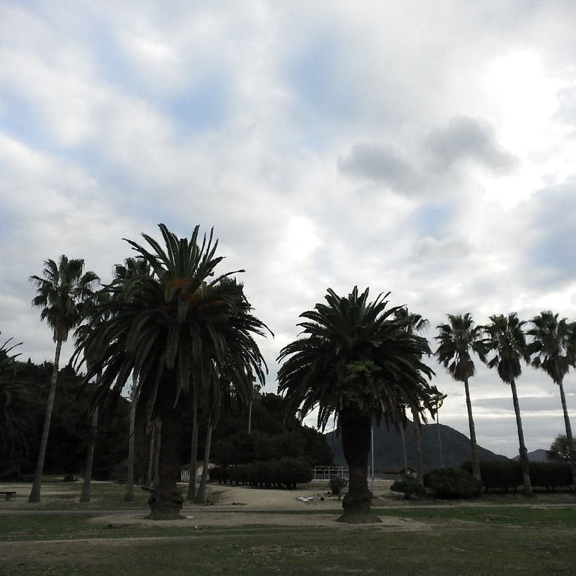 画像1