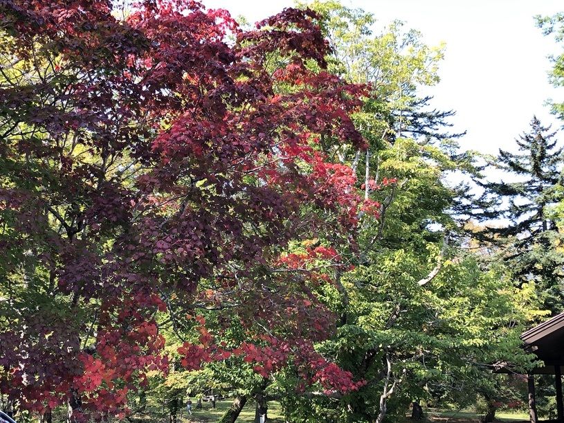 画像5