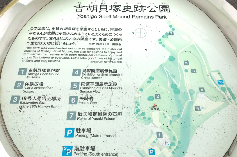 画像4