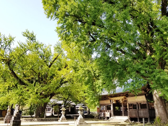 画像3