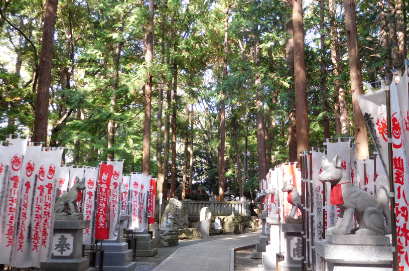 画像1