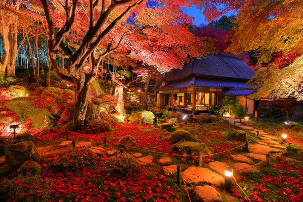 おすすめ紅葉スポットのご紹介 ブログ 休暇村近江八幡 公式