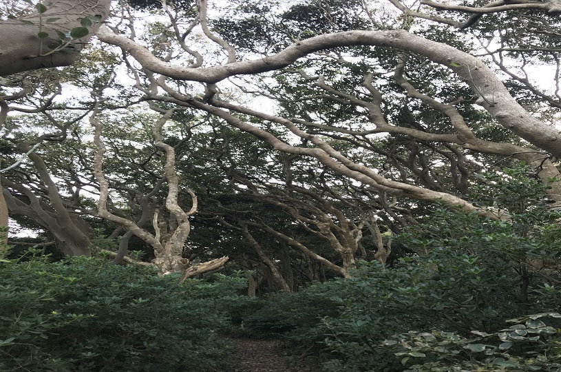 画像5