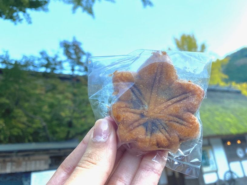画像4