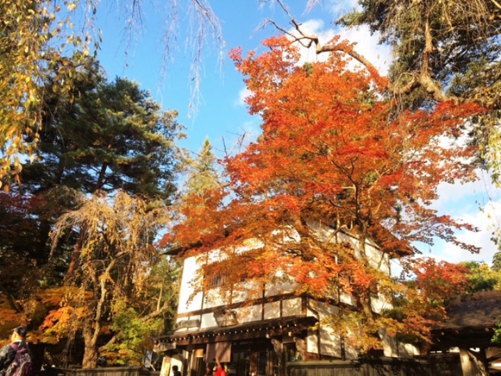画像4