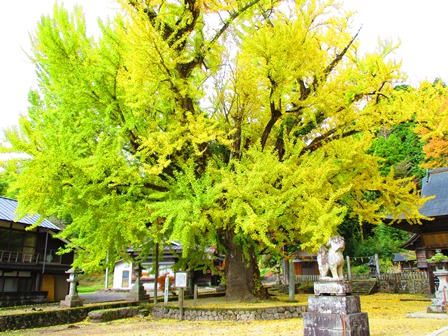 画像4