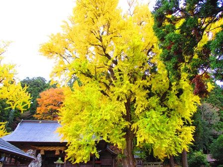 画像5