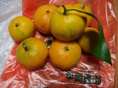 画像3