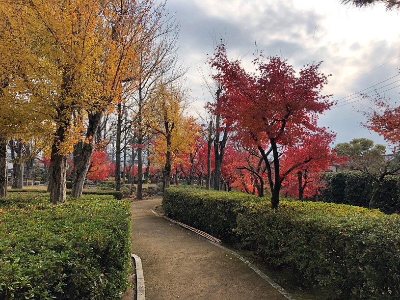 画像2