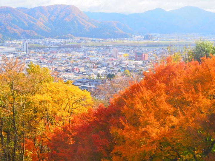 画像1