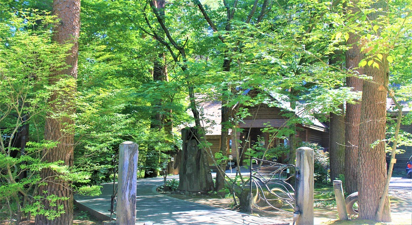 絵本美術館 森のおうち