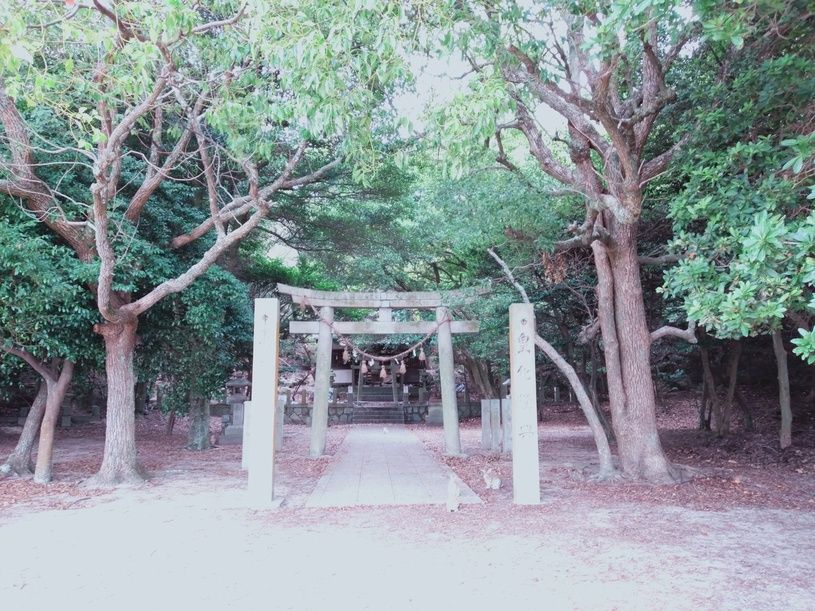 画像1