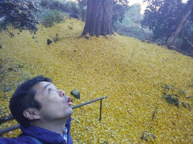 画像1
