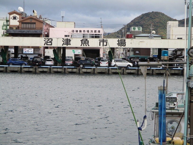 画像1
