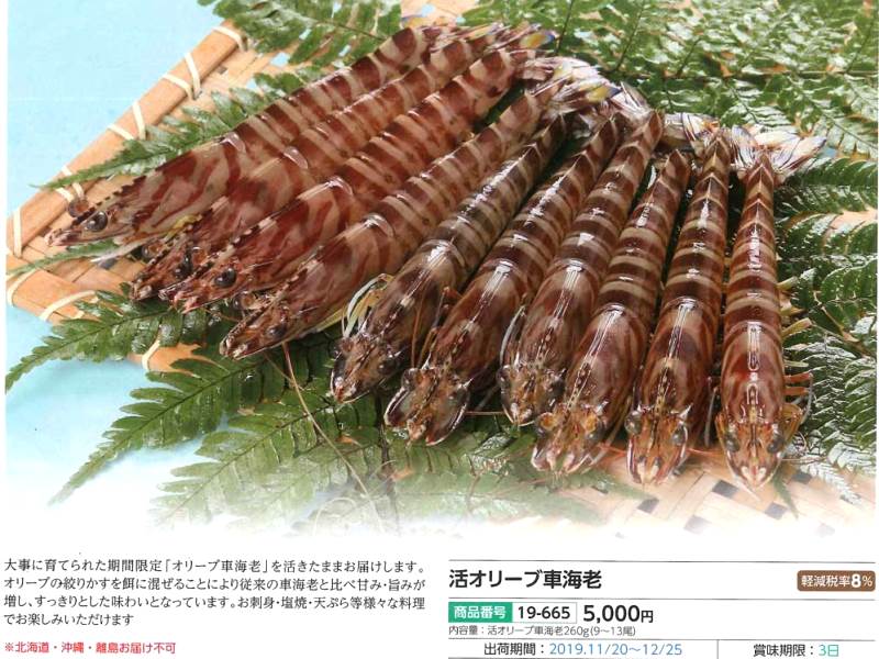 画像4