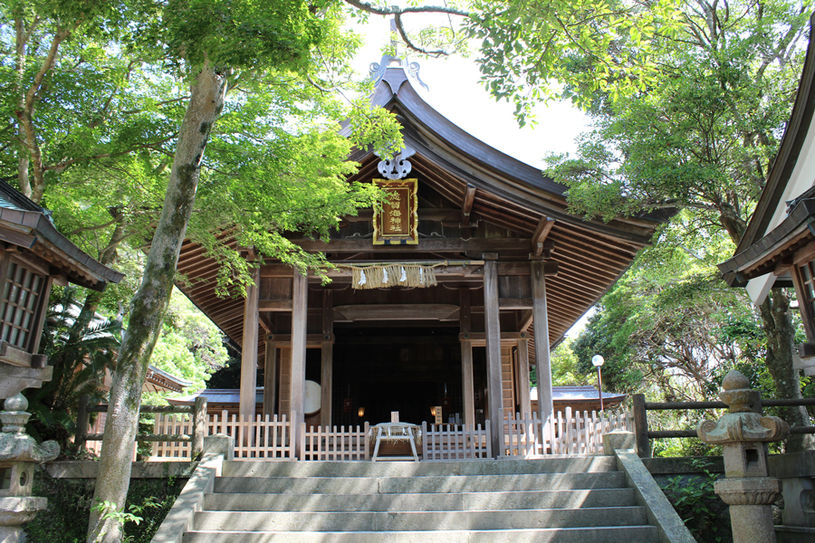画像2