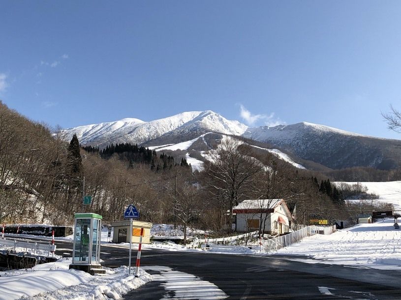画像1