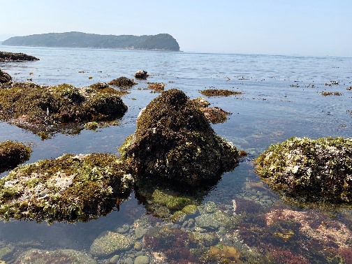 城ヶ崎