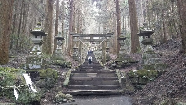 画像4