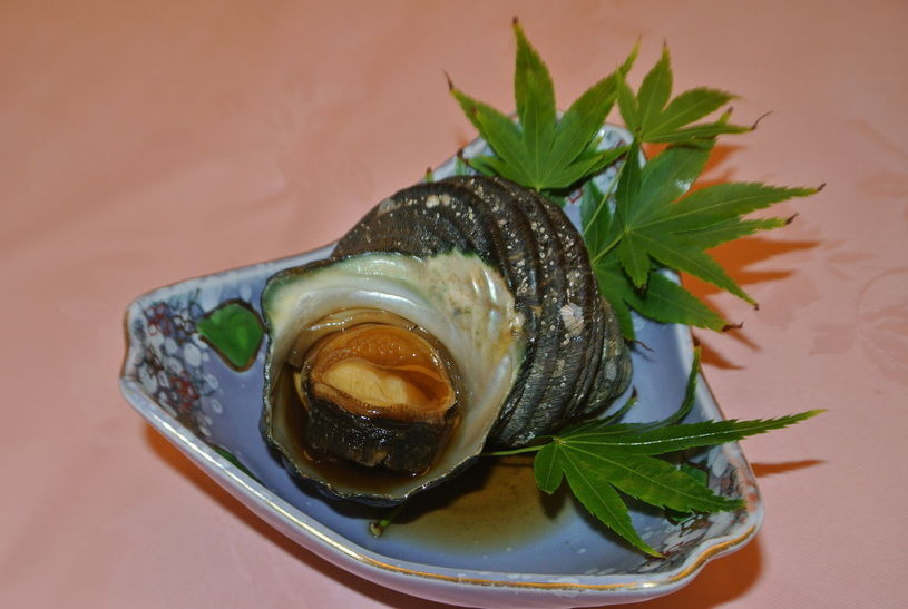 画像5