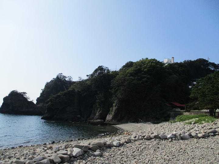 画像4