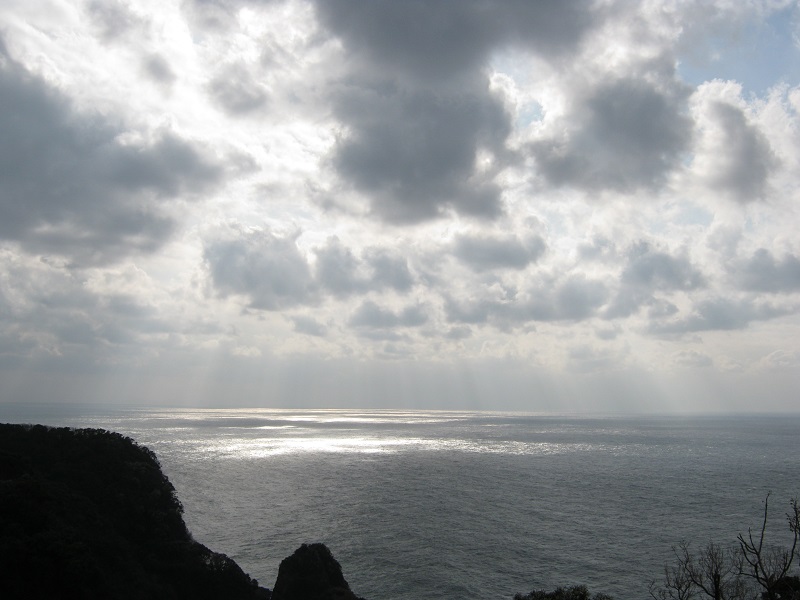 画像5
