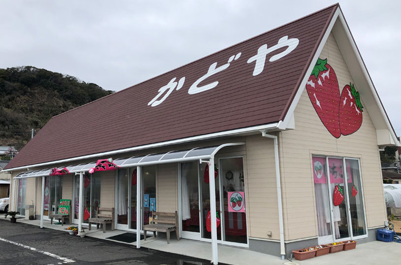 画像1