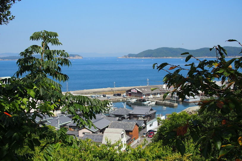 画像5