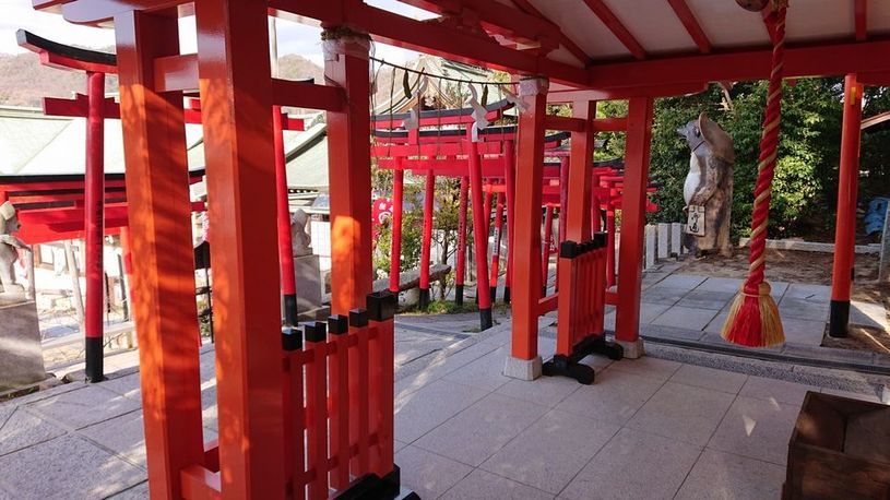 画像5