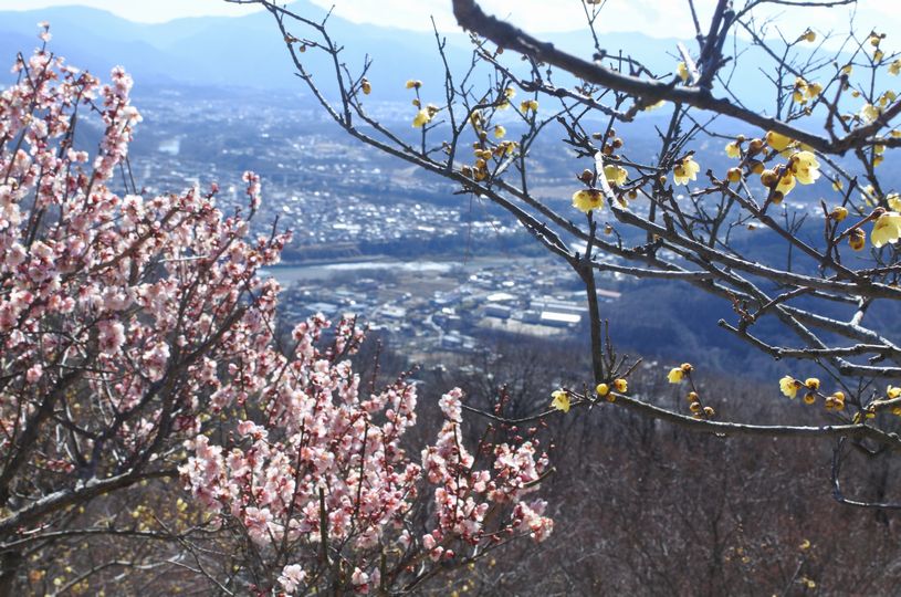 画像4