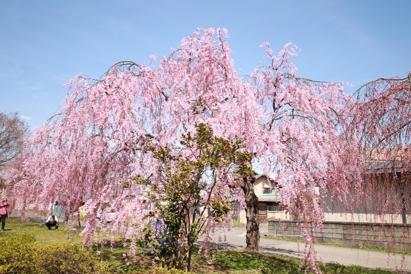 画像5