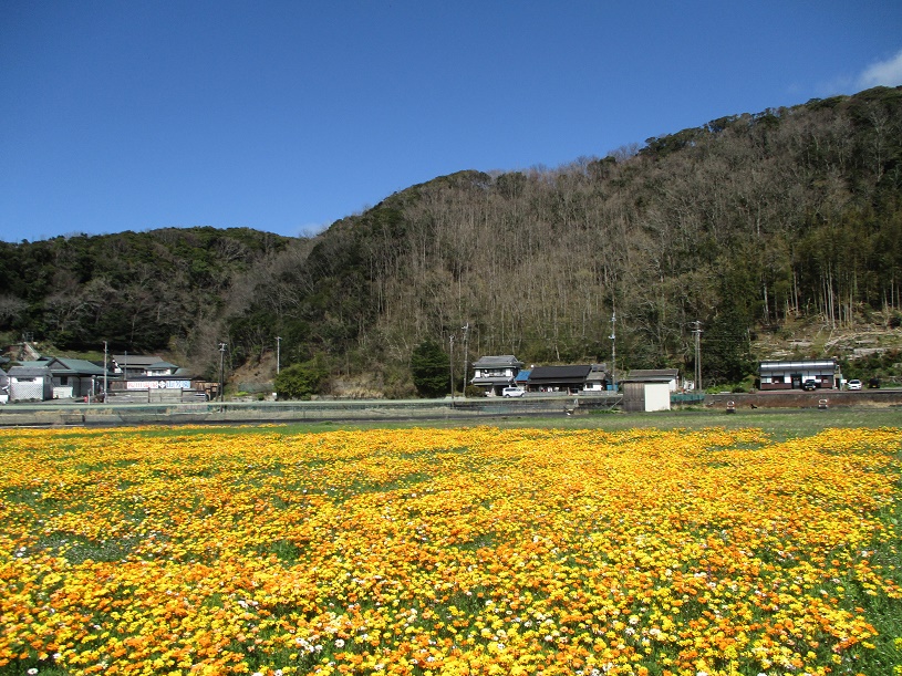 画像5