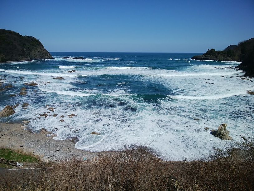 画像1