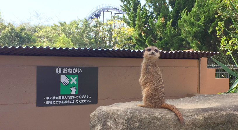 アドベンチャーワールド