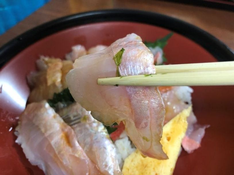 画像1