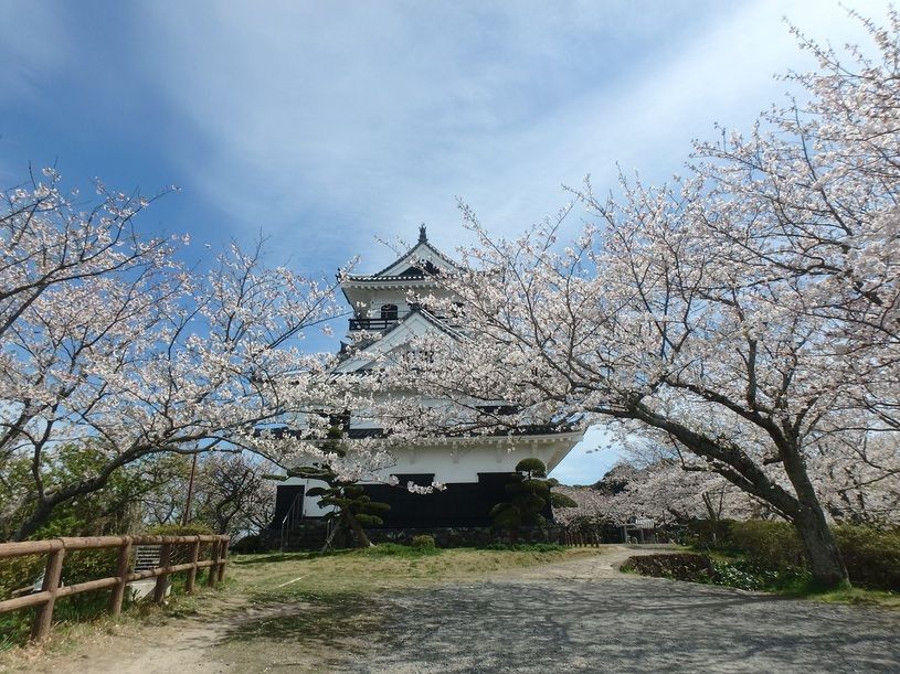 画像2