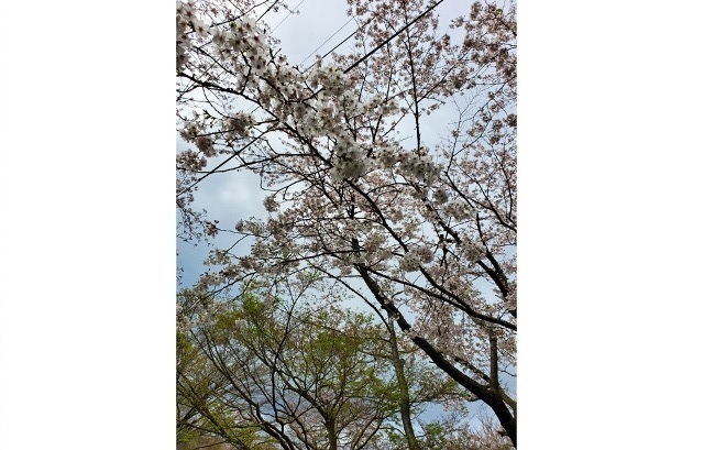 画像3